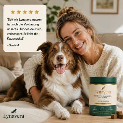 Probiotik-Kausnacks für Hunde