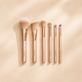 Premium Pinsel set